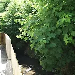 Daire Mill Valley
