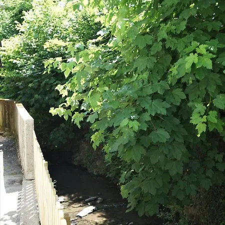 Apartmán Mill Valley