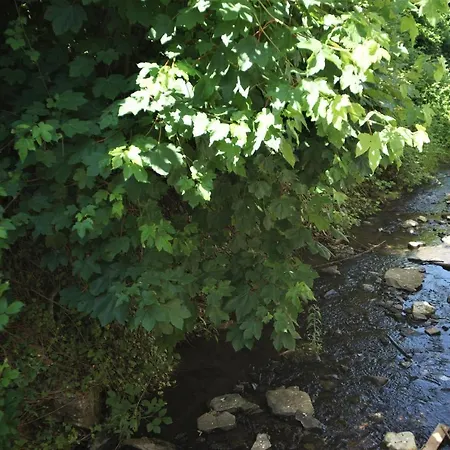 Mill Valley Apartamento